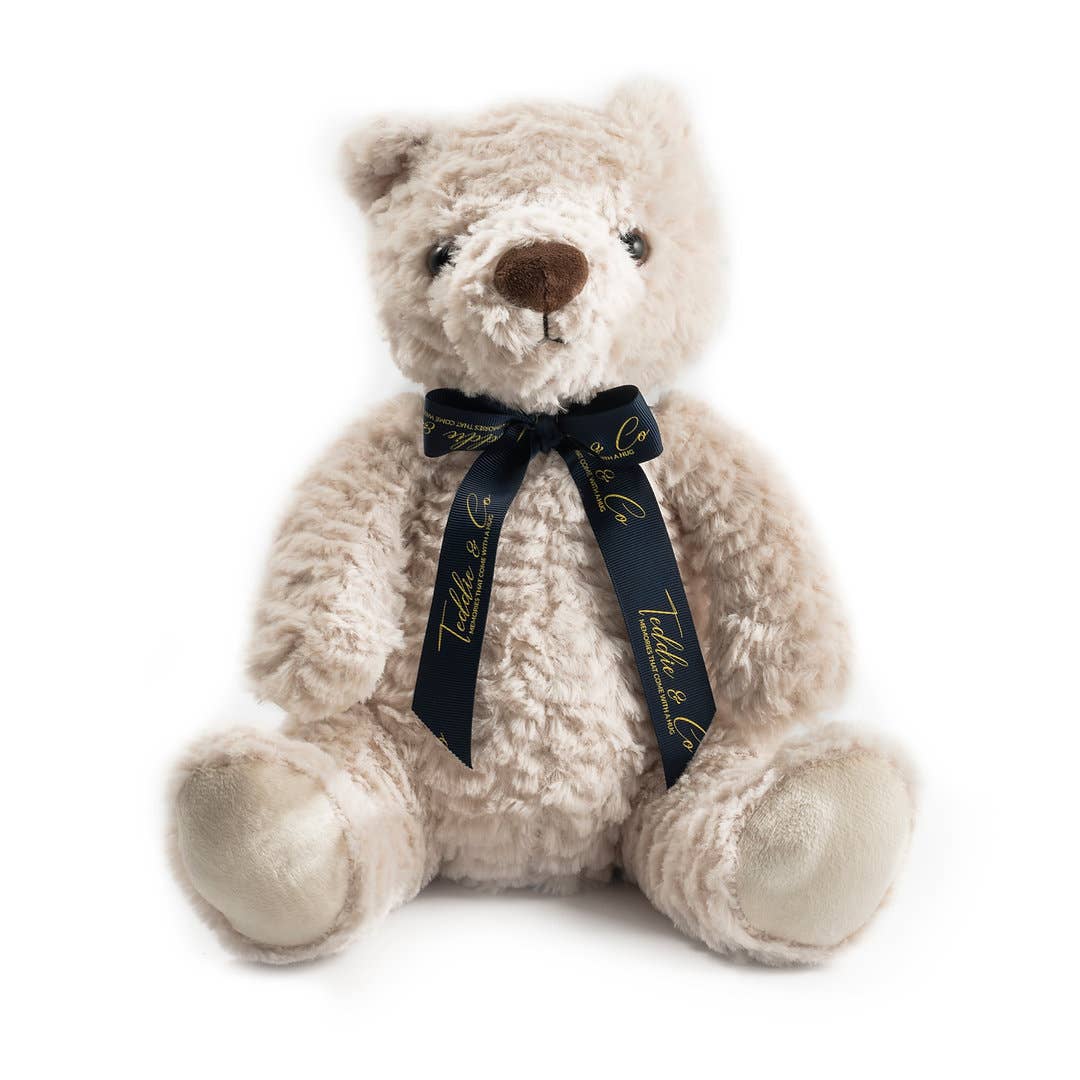 Cream Luxury Re-recordable Message Bear Plush Toy Gift